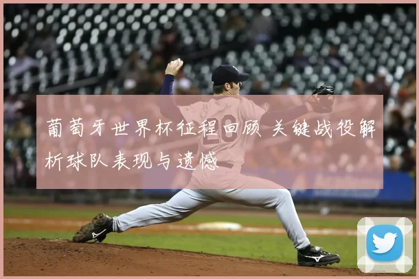 葡萄牙世界杯征程回顾 关键战役解析球队表现与遗憾