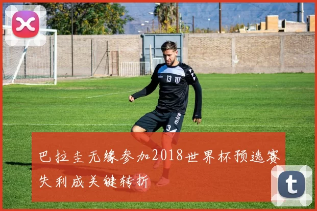 巴拉圭无缘参加2018世界杯预选赛失利成关键转折